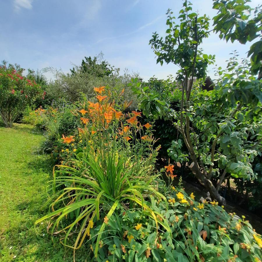 Tresserve Le Lac מראה חיצוני תמונה